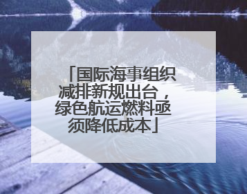 国际海事组织减排新规出台，绿色航运燃料亟须降低成本