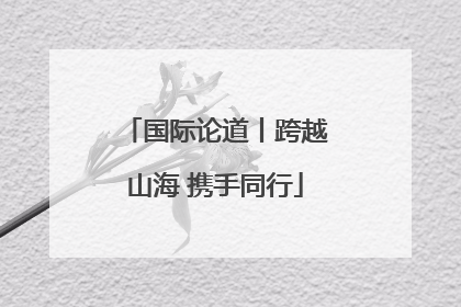国际论道丨跨越山海 携手同行