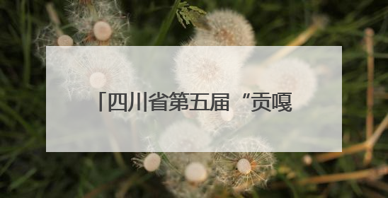 四川省第五届“贡嘎杯”男子排球（初中组）总决赛开赛 自贡这支队伍打进半决赛