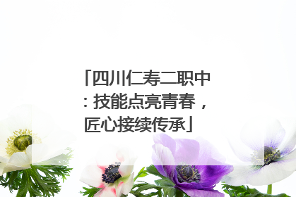 四川仁寿二职中：技能点亮青春，匠心接续传承