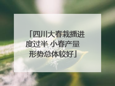 四川大春栽播进度过半 小春产量形势总体较好