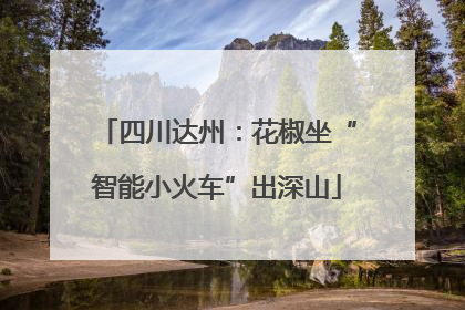四川达州：花椒坐“智能小火车”出深山