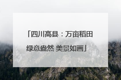 四川高县：万亩稻田绿意盎然 美景如画