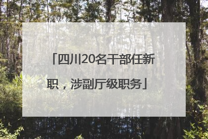 四川20名干部任新职，涉副厅级职务