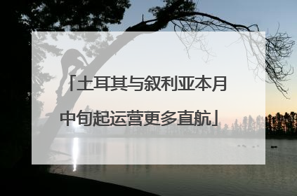 土耳其与叙利亚本月中旬起运营更多直航