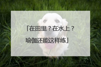 在田里？在水上？瑜伽还能这样练
