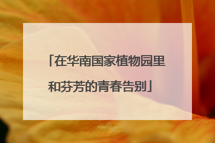 在华南国家植物园里和芬芳的青春告别