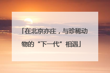 在北京亦庄，与珍稀动物的“下一代”相遇