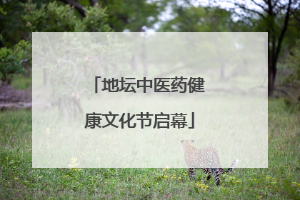 地坛中医药健康文化节启幕