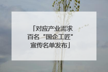 对应产业需求 百名“国企工匠”宣传名单发布