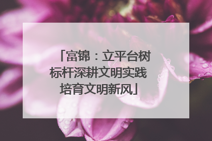 富锦：立平台树标杆深耕文明实践培育文明新风