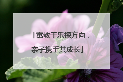 寓教于乐探方向，亲子携手共成长