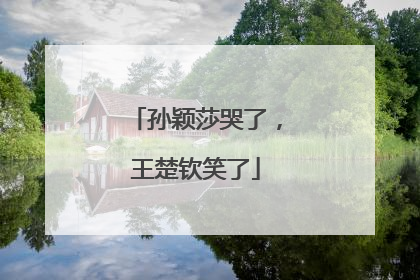 孙颖莎哭了，王楚钦笑了