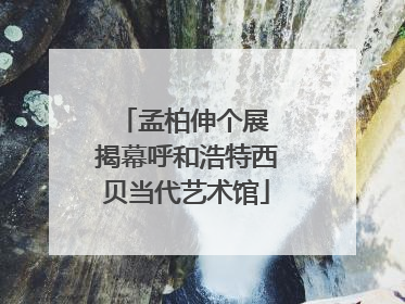 孟柏伸个展 揭幕呼和浩特西贝当代艺术馆