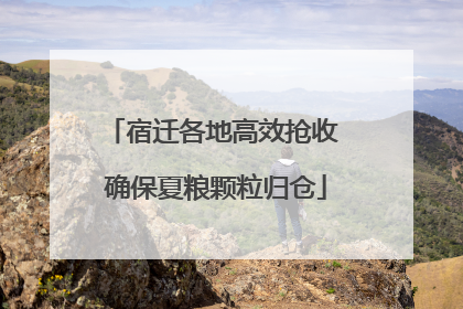 宿迁各地高效抢收 确保夏粮颗粒归仓
