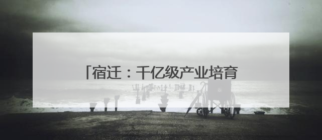 宿迁：千亿级产业培育稳扎稳打、步步攀高