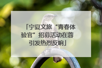 宁夏文旅“青春体验官”招募活动在蓉引发热烈反响