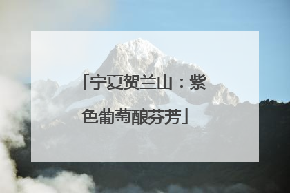 宁夏贺兰山：紫色葡萄酿芬芳