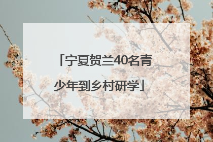 宁夏贺兰40名青少年到乡村研学