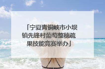 宁夏青铜峡市小坝镇先锋村葡萄整穗疏果技能竞赛举办