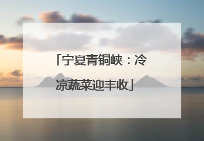 宁夏青铜峡：冷凉蔬菜迎丰收