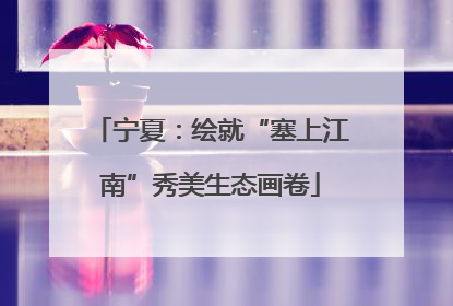 宁夏：绘就“塞上江南”秀美生态画卷