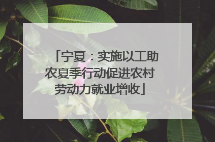 宁夏：实施以工助农夏季行动促进农村劳动力就业增收