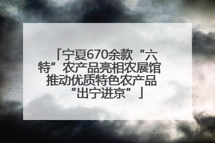 宁夏670余款“六特”农产品亮相农展馆 推动优质特色农产品“出宁进京”