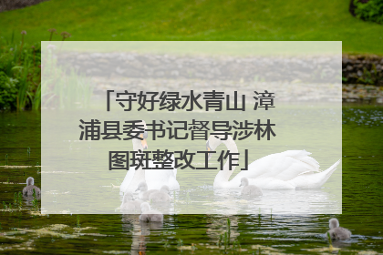 守好绿水青山 漳浦县委书记督导涉林图斑整改工作