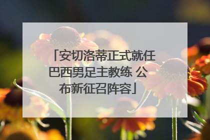 安切洛蒂正式就任巴西男足主教练 公布新征召阵容