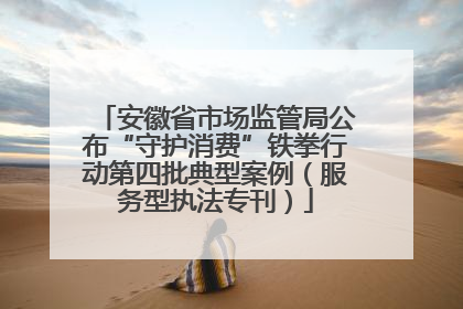 安徽省市场监管局公布“守护消费”铁拳行动第四批典型案例（服务型执法专刊）