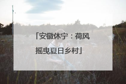 安徽休宁：荷风摇曳夏日乡村