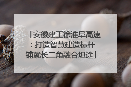 安徽建工徐淮阜高速：打造智慧建造标杆 铺就长三角融合坦途