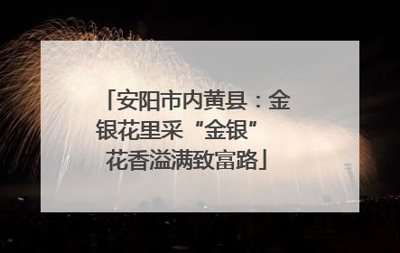 安阳市内黄县：金银花里采“金银” 花香溢满致富路