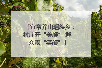 宜章莽山瑶族乡：村庄开“美颜” 群众露“笑颜”