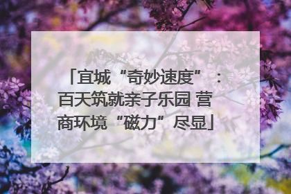 宜城“奇妙速度”：百天筑就亲子乐园 营商环境“磁力”尽显