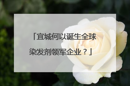 宜城何以诞生全球染发剂领军企业？