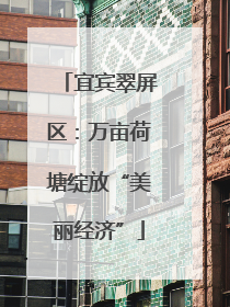 宜宾翠屏区：万亩荷塘绽放“美丽经济”