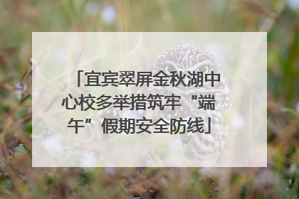 宜宾翠屏金秋湖中心校多举措筑牢“端午”假期安全防线