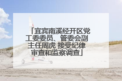 宜宾南溪经开区党工委委员、管委会副主任周虎 接受纪律审查和监察调查