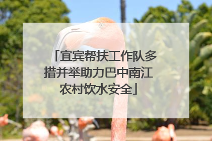 宜宾帮扶工作队多措并举助力巴中南江农村饮水安全