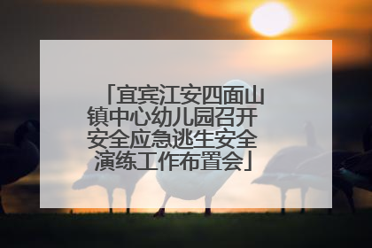 宜宾江安四面山镇中心幼儿园召开安全应急逃生安全演练工作布置会