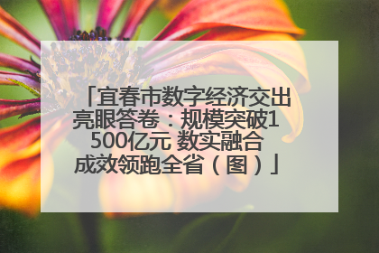 宜春市数字经济交出亮眼答卷：规模突破1500亿元 数实融合成效领跑全省（图）