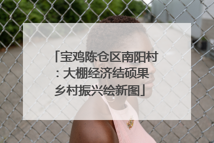宝鸡陈仓区南阳村：大棚经济结硕果 乡村振兴绘新图