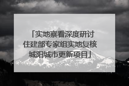 实地察看深度研讨 住建部专家组实地复核城阳城市更新项目