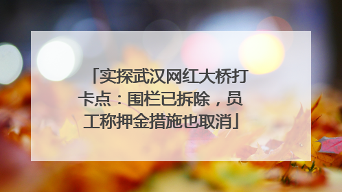 实探武汉网红大桥打卡点：围栏已拆除，员工称押金措施也取消