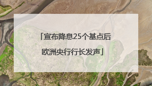 宣布降息25个基点后 欧洲央行行长发声
