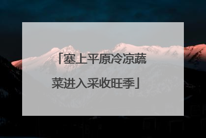 塞上平原冷凉蔬菜进入采收旺季