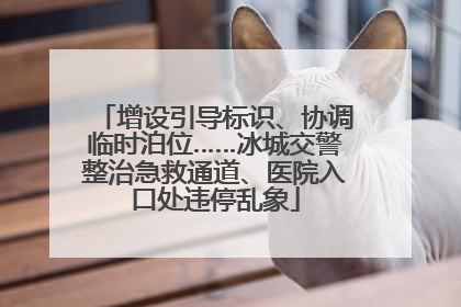 增设引导标识、协调临时泊位……冰城交警整治急救通道、医院入口处违停乱象