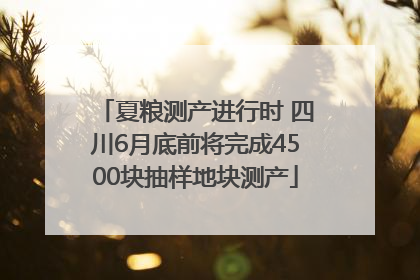 夏粮测产进行时 四川6月底前将完成4500块抽样地块测产